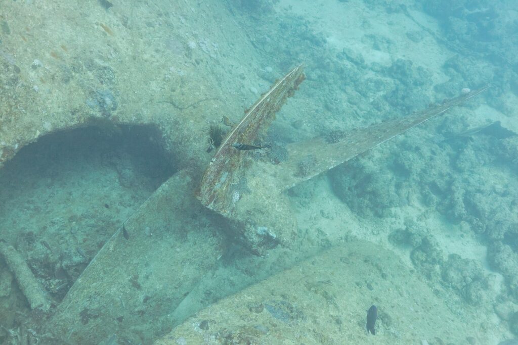 Et propellblad fra Thistlegorm, dekket av begroing, på sanden ved siden av skroget
