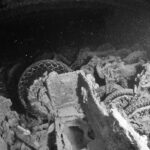 Motorsykler stablet i lasterommet på Thistlegorm, svart-hvitt-bilde, med dekk og hjul fortsatt synlige