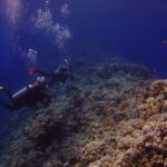 To dykkere følger ytterveggen i Blue Hole, dekket av steinkoraller og anthias, med det dype blå til venstre
