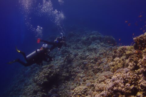 To dykkere følger ytterveggen i Blue Hole, dekket av steinkoraller og anthias, med det dype blå til venstre