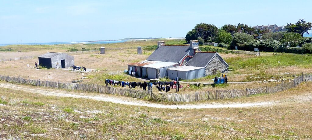Et langt steinhus med skifertak og tilbygg i bølgeblikk, med en lang rad dykkerdrakter til tørk på et flettverksgjerde foran, midt i en lav lynghei, med havet og et fyr i det fjerne.