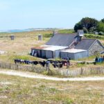 Et langt steinhus med skifertak og tilbygg i bølgeblikk, med en lang rad dykkerdrakter til tørk på et flettverksgjerde foran, midt i en lav lynghei, med havet og et fyr i det fjerne.